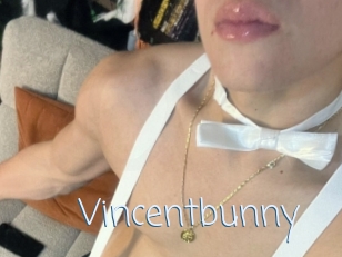 Vincentbunny