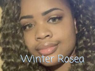 Winter_Rosea