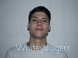 Whitey_bulgerr