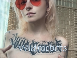 Wild.rabbitts