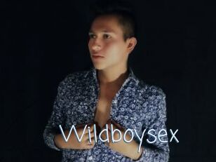 Wildboysex