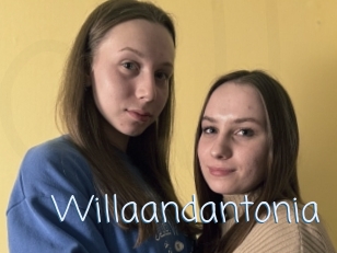 Willaandantonia