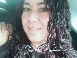 YECAOL23