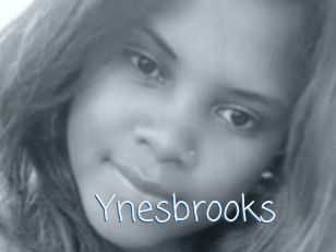 Ynesbrooks