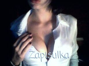 Zapisulka