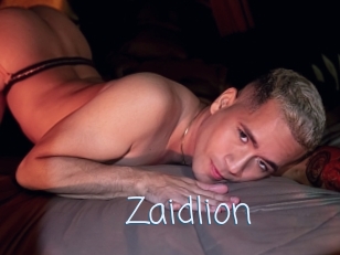 Zaidlion