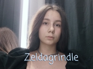 Zeldagrindle