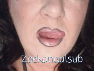 Zoekanaalsub